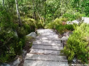 El descenso hacia el barranco