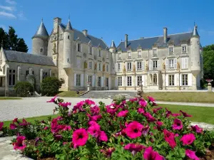 Le château de Terre-Neuve