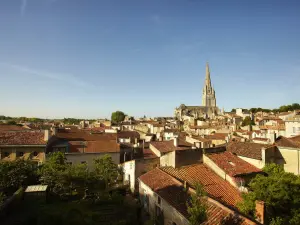 Roofs of Fontenay-le-Comte