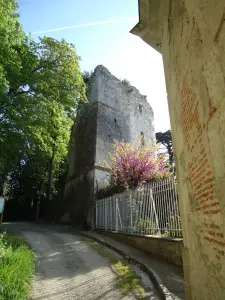 Entrée du parc Baron