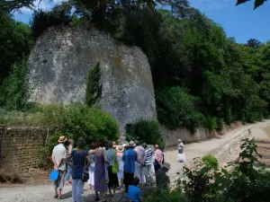 Visite guidée au parc Baron