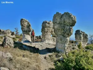 Discover this landscape of mushroom-shaped rocks, arches or bridges overlooking the Forcalquier basin, the Durance and the Valensole plateau. The Mourres, by their sub-desert environment and their fantastic appearance, have often inspired local writers. Classified as a sensitive natural area, to be preserved to enjoy it for a long time to come!