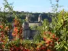 Fougères - Château médiéval de Fougères (© EP)