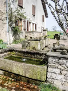 Fontaine-lavoir au Prémourey (© J.E)