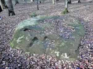 La pierre des Gaulois (© Jean Espirat)