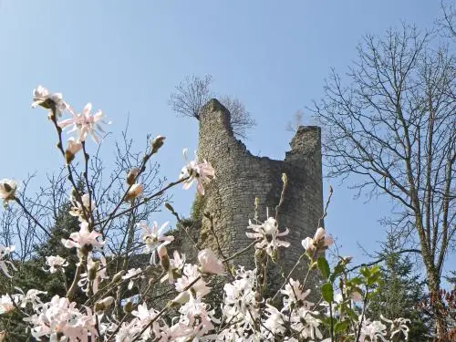 Château de Frauenberg - Monument à Frauenberg