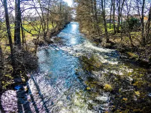 Le Breuchin, en aval du pont de Froideconche (© J.E)