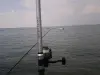 pesca