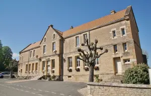 Het stadhuis