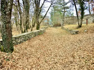 Vieil Eyguians - Partie Nord de l'ancien rempart (© J.E)