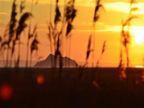 Genêts - Winter Sonnenuntergang in Genêts