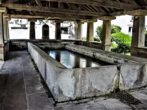 Basins of the fountain-washhouse in the square (© JE)