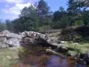 Puente de Senoueix - Monumento en Gentioux-Pigerolles