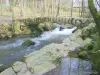 Gérardmer - Saut des Cuves