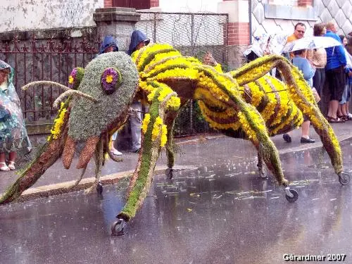 Gérardmer - Fiesta de los narcisos