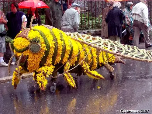 Gérardmer - Fiesta de los narcisos