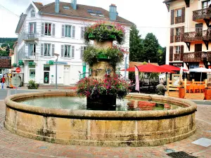 Fontaine fleurie sur une place (© Jean Espirat)
