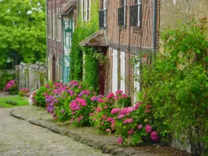 Une rue fleurie de Gerberoy