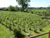 Vignes du Clos Gerberoy