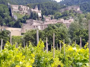 Le village et les Dentelles (© Gabriel Meffre/Ph. Médard)