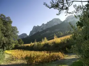 Die Dentelles de Montmirail (© Gabriel Meffre / Ph. Médard)