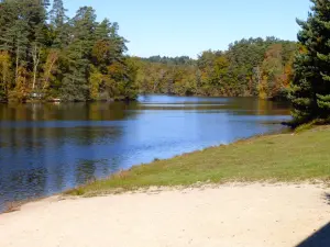 The banks of the pond of Ruffaud