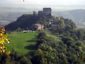 Château de Montaigut