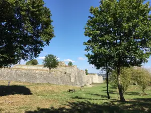 Fort Condé