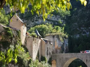 Bridge over the Tarn