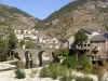 Gorges du Tarn Causses - Führer für Tourismus, Urlaub & Wochenende in der Lozère