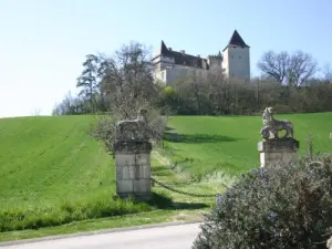 Das Schloss von Goudourville