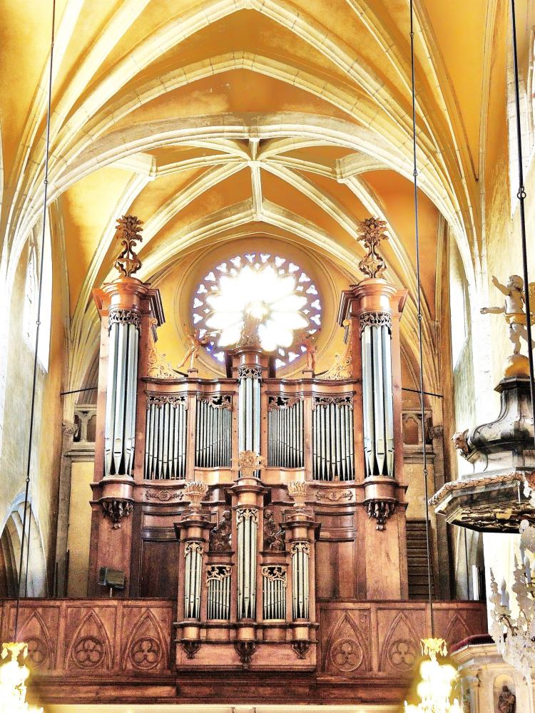 Gray - the organ of the Basilica (© JE)