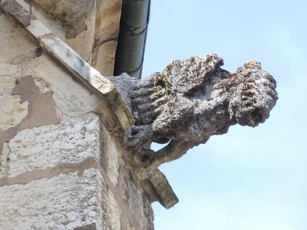 Gray - Gargoyle South of the basilica (© JE)