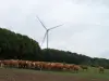 Gros-Réderching - A wind turbine on the ban of Woelfling
