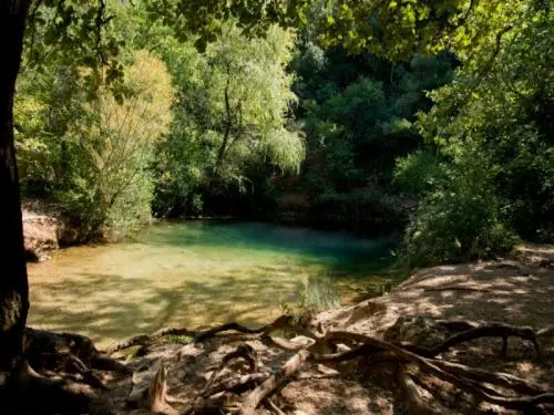 Résurgence de la Font Vive - Sito naturale a Grospierres