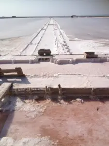 Salt from the saline of Saint-Martin island