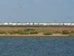 Landschap van Gruissan (© Frantz)