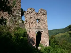 Hugstein of Castle Ruins (© CCRG - PAH)