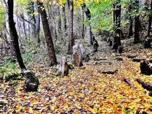 menhirs of Appenthal (© Jean Espirat)