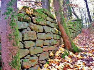 cyclopean wall at the entrance of the site menhirs (© Jean Espirat)