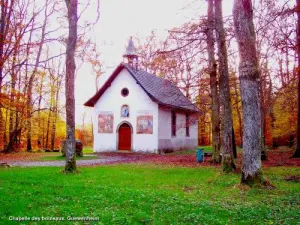 Our Lady of Birches