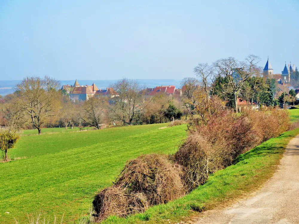 Gy - Panorama depuis la croix, route du cimetière (© Jean Espirat)