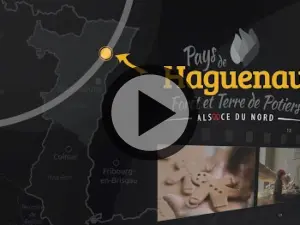 Pour un séjour parfait au Pays de Haguenau