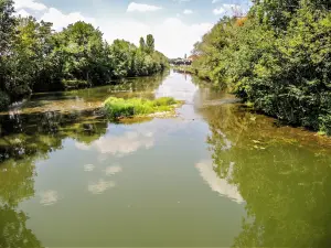 Le Madon, en aval du pont de Haroué (© J.E)