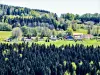 Hauterive-la-Fresse - The Mont d'Hauterive, seen from the heights de Montflovin (© JE)