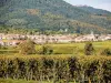 Heiligenstein y el monasterio de Sainte-Odile, visto desde la carretera Goxwiller (© J.E)