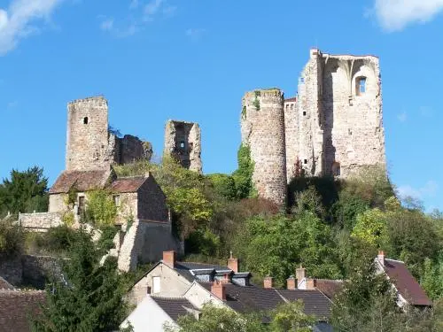 Hérisson - Le château féodal