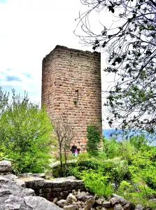 Tower of the Weckmund, view of the Wahlenbourg court (© J.E)