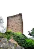 Torre en ruinas Castillo Weckmund (© J.E.)