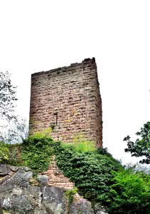 Tower, ruined, of the castle of Weckmund (© J.E)